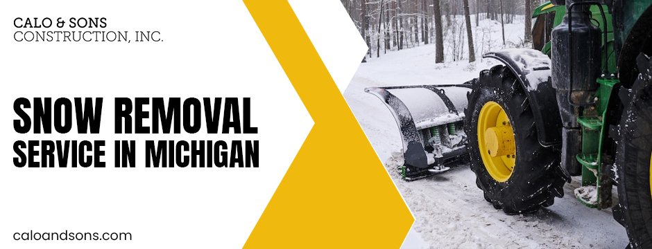Snow Removal Service In Michigan