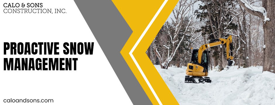 Proactive Snow Management